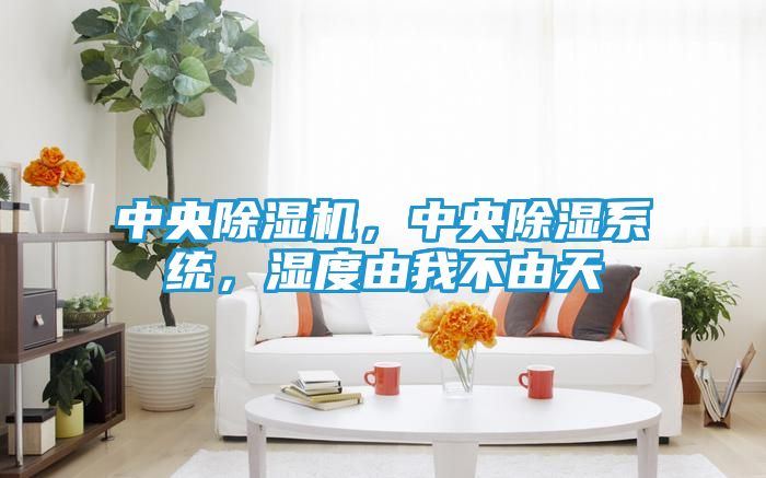 中央除湿机，中央除湿系统，湿度由我不由天