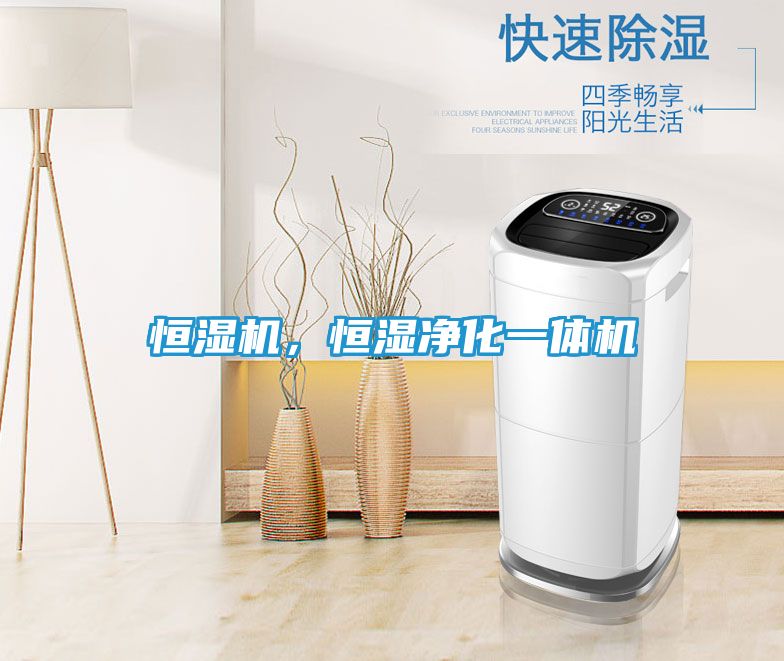 恒湿机，恒湿净化一体机