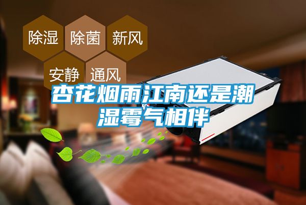 杏花烟雨江南还是潮湿霉气相伴