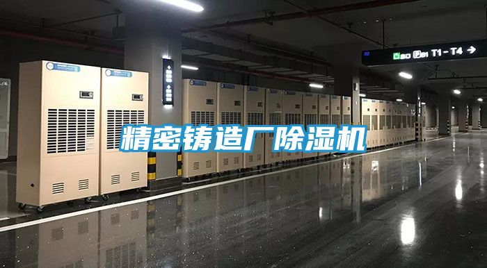 精密铸造厂除湿机