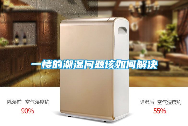 一楼的潮湿问题该如何解决