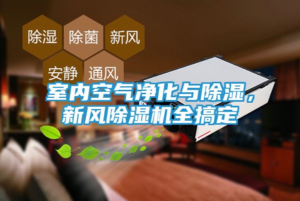 室内空气净化与除湿，新风除湿机全搞定