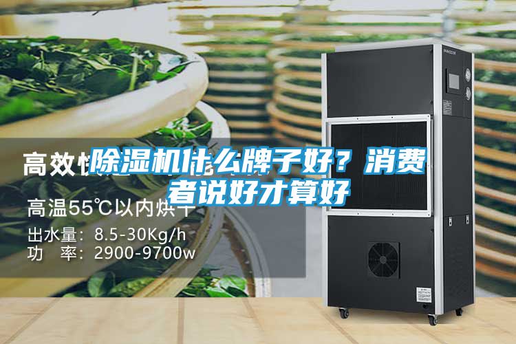 除湿机什么牌子好？消费者说好才算好