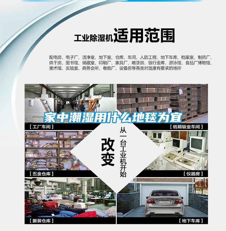 家中潮湿用什么地毯为宜