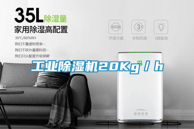 工业除湿机20Kg／h