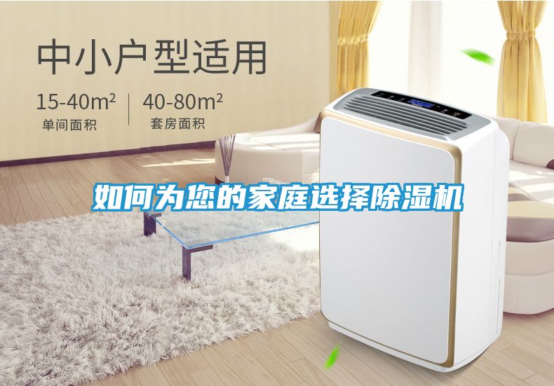 如何为您的家庭选择除湿机
