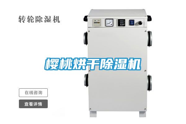 樱桃烘干除湿机