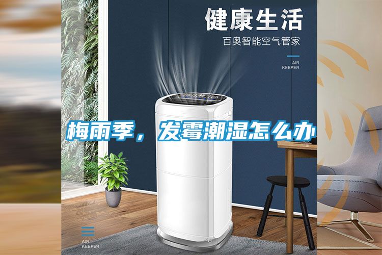 梅雨季，发霉潮湿怎么办