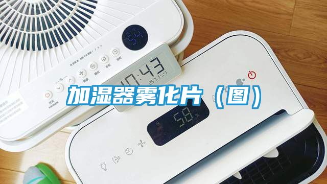 加湿器雾化片（图）