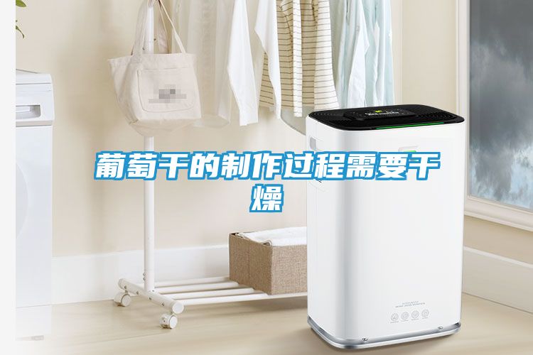 葡萄干的制作过程需要干燥