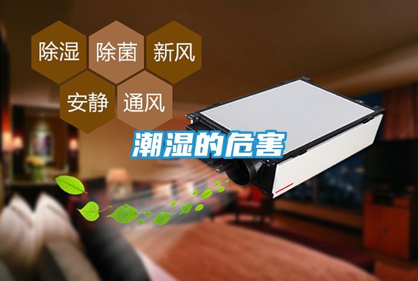 潮湿的危害