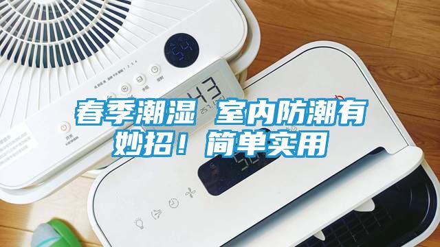 春季潮湿 室内防潮有妙招！简单实用