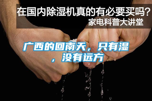 广西的回南天，只有湿，没有远方