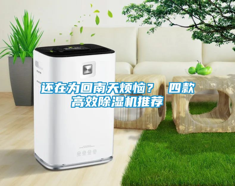 还在为回南天烦恼？ 四款高效除湿机推荐