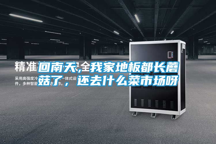回南天，我家地板都长蘑菇了，还去什么菜市场呀