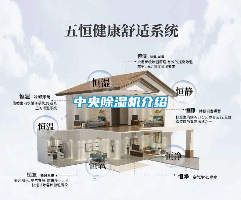 中央除湿机介绍