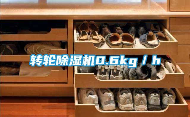 转轮除湿机0.6kg／h