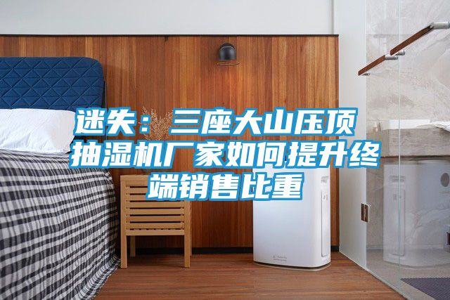 迷失：三座大山压顶 抽湿机厂家如何提升终端销售比重