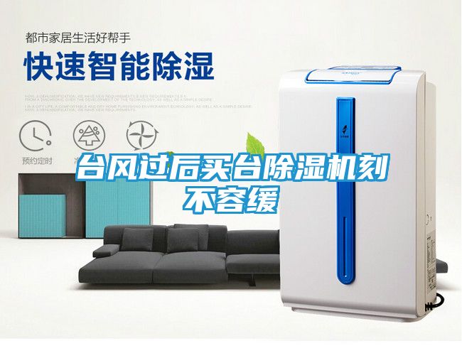 台风过后买台除湿机刻不容缓