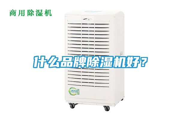 什么品牌除湿机好？