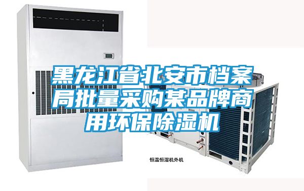 黑龙江省北安市档案局批量采购某品牌商用环保除湿机