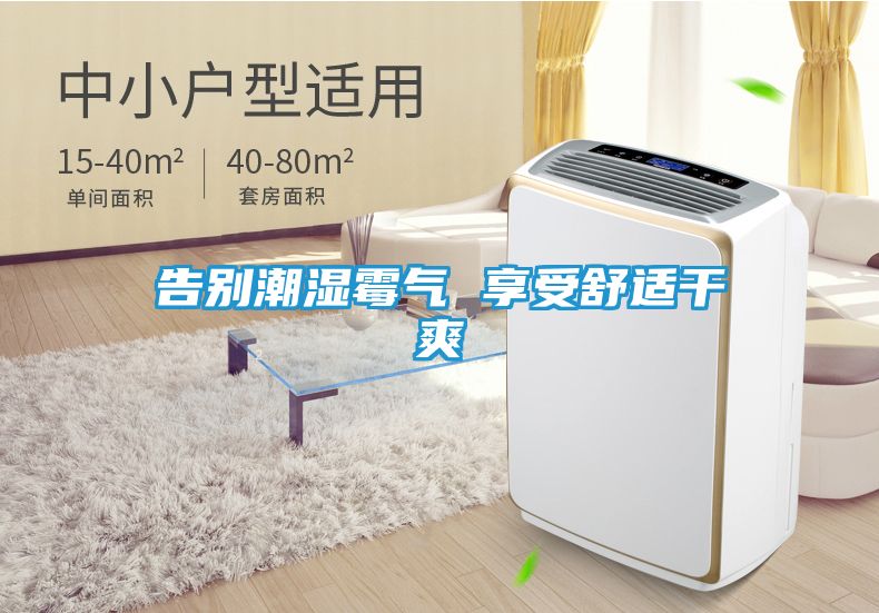 告别潮湿霉气 享受舒适干爽
