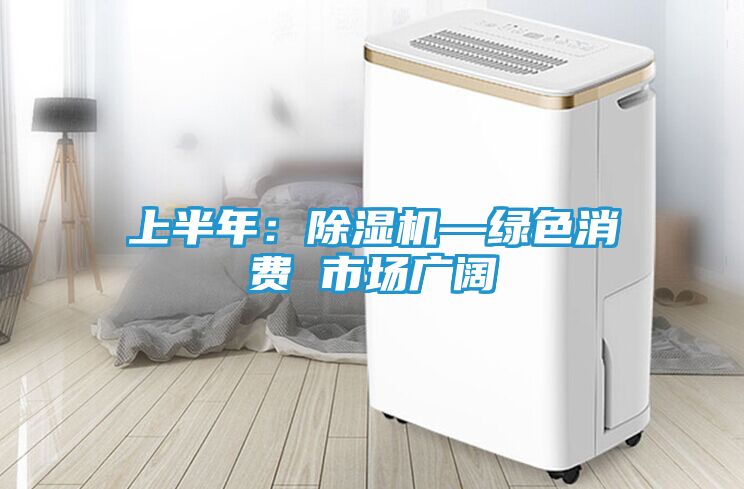 上半年：除湿机—绿色消费 市场广阔