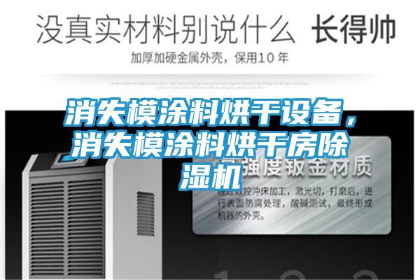 消失模涂料烘干设备，消失模涂料烘干房除湿机