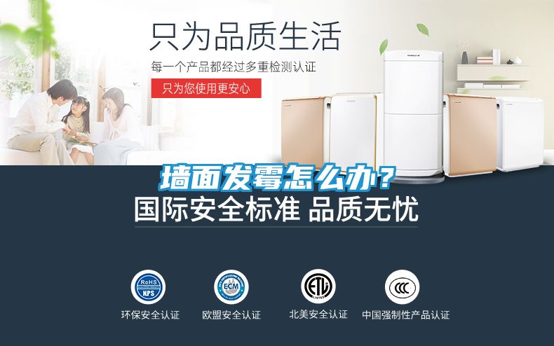 墙面发霉怎么办？