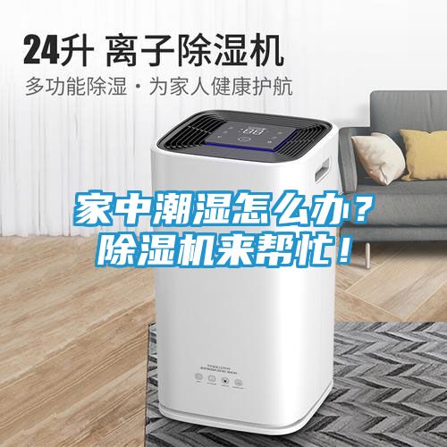 家中潮湿怎么办？除湿机来帮忙！