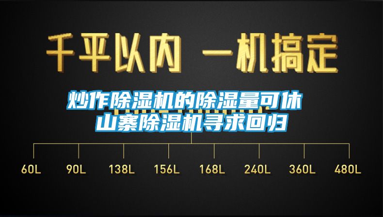 炒作除湿机的除湿量可休 山寨除湿机寻求回归