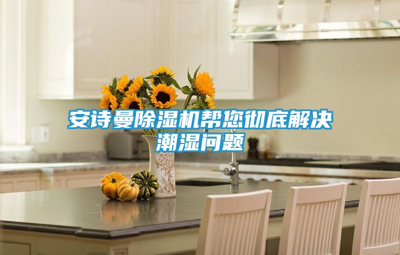 安诗曼除湿机帮您彻底解决潮湿问题