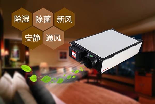 茶叶带来的苦恼,除湿机给你划重点