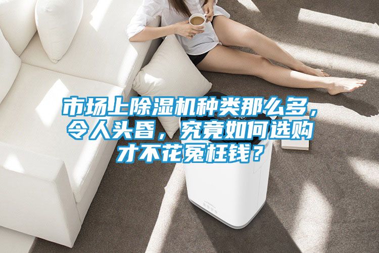 市场上除湿机种类那么多，令人头昏，究竟如何选购才不花冤枉钱？