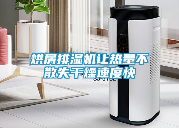 烘房排湿机让热量不散失干燥速度快