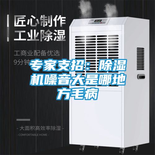 专家支招：除湿机噪音大是哪地方毛病