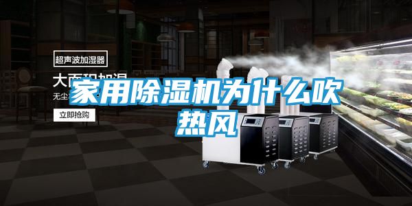 家用除湿机为什么吹热风