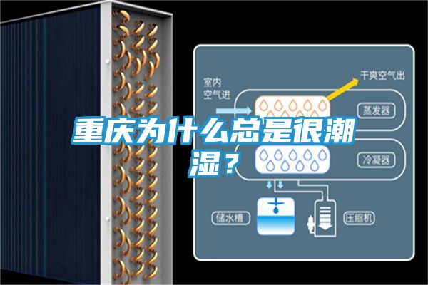 重庆为什么总是很潮湿？