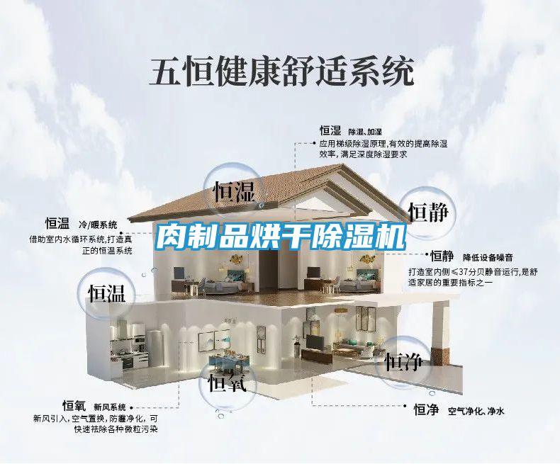 肉制品烘干除湿机