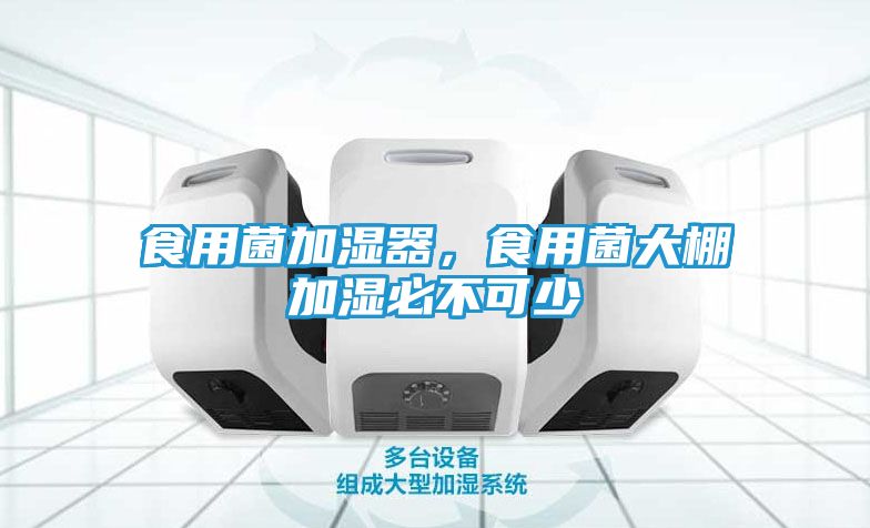 食用菌加湿器，食用菌大棚加湿必不可少