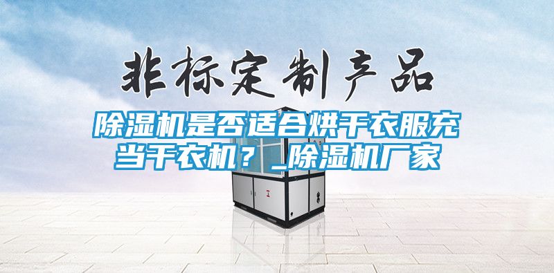 除湿机是否适合烘干衣服充当干衣机？_除湿机厂家