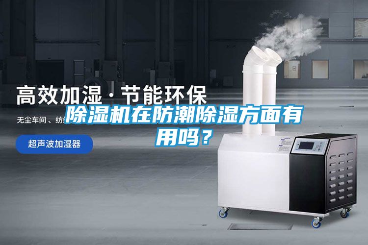 除湿机在防潮除湿方面有用吗？