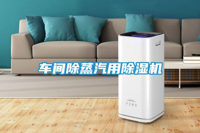 车间除蒸汽用除湿机