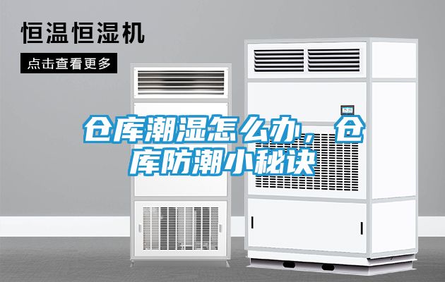 仓库潮湿怎么办，仓库防潮小秘诀