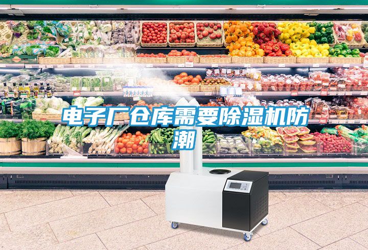 电子厂仓库需要除湿机防潮