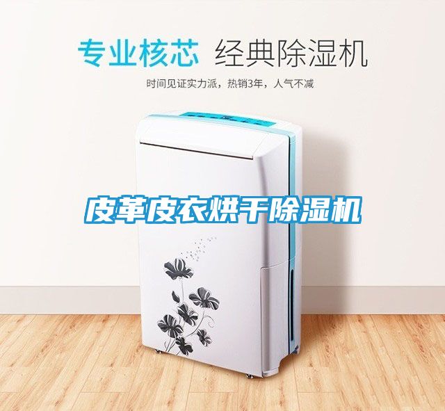 皮革皮衣烘干除湿机