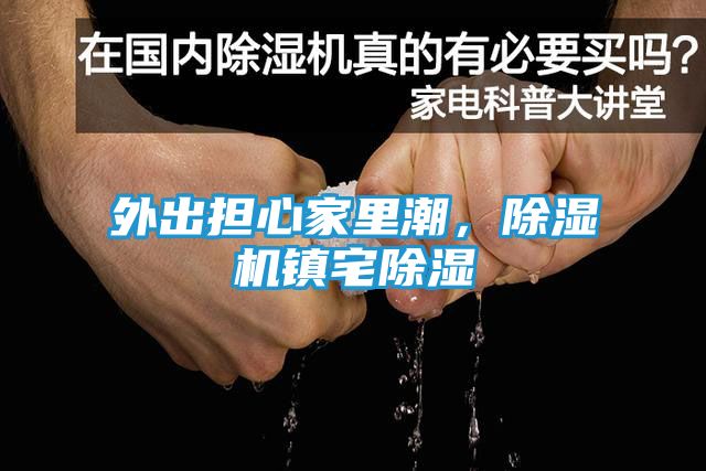 外出担心家里潮，除湿机镇宅除湿