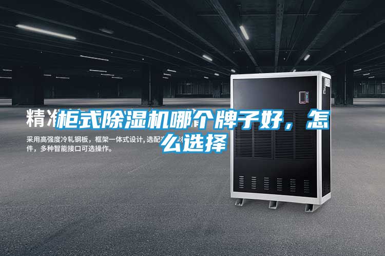 柜式除湿机哪个牌子好，怎么选择