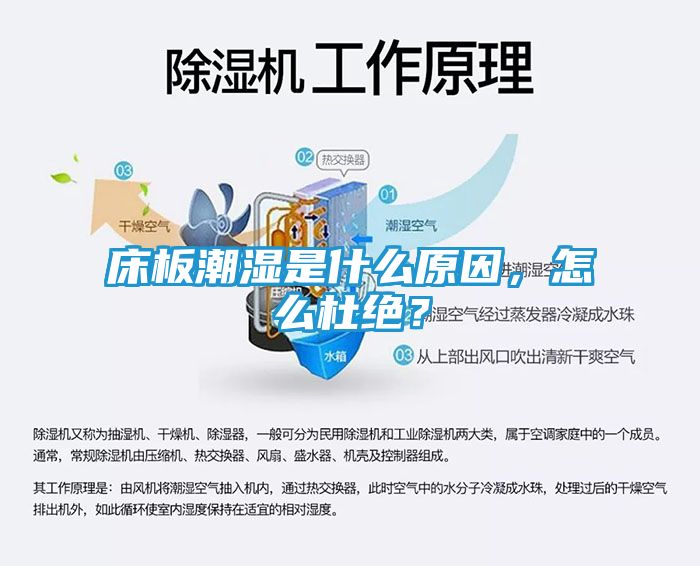 床板潮湿是什么原因，怎么杜绝？