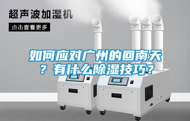 如何应对广州的回南天？有什么除湿技巧？